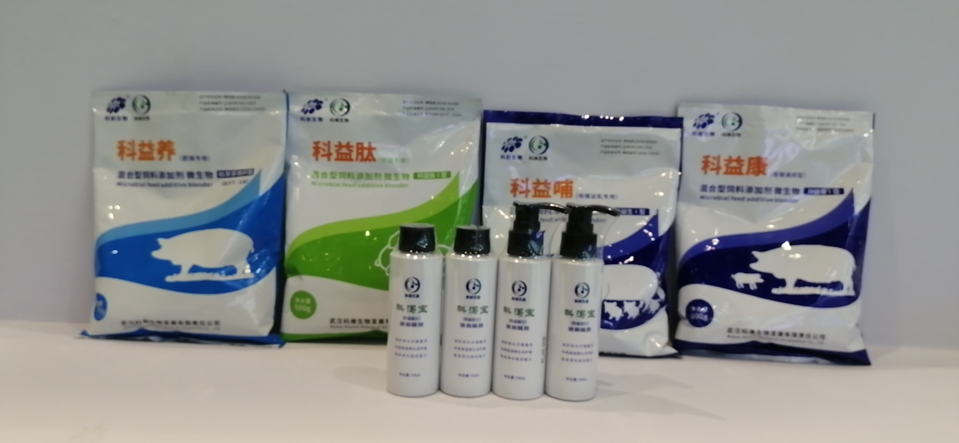 圖片6.png 圖片6.png